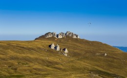 Bucovina