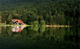 Bolu