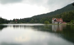 Bolu