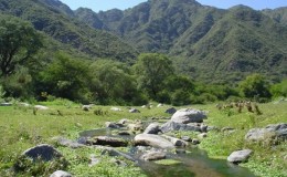 Valle Fértil