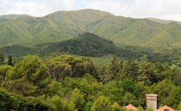 Huerta Grande