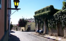Colonia