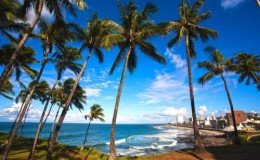 Salvador