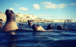 Puerto Madryn