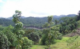 Silver Creek