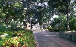 Barinas