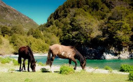 Alto Palena