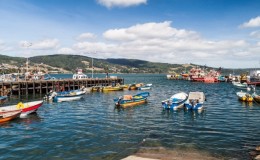 Ancud