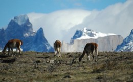 Parque nacional Torres del Paine