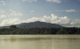 Caicara De Oro
