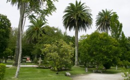Isla de la Toja