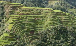Banaue