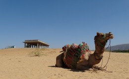 Pushkar