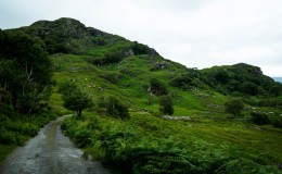 Kerry County