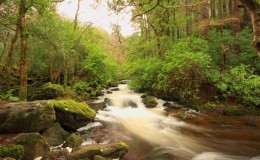 Killarney