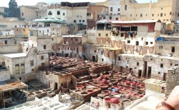 Fez