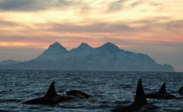 Islas Lofoten